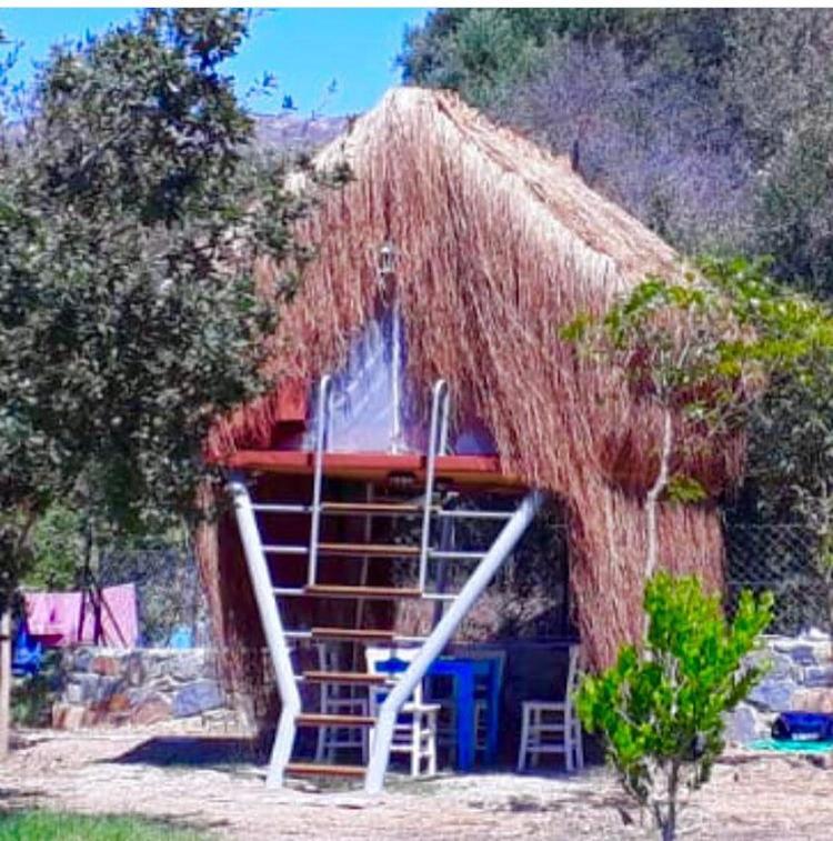 Bodrum Masali Camping Gümüşlük Exterior foto